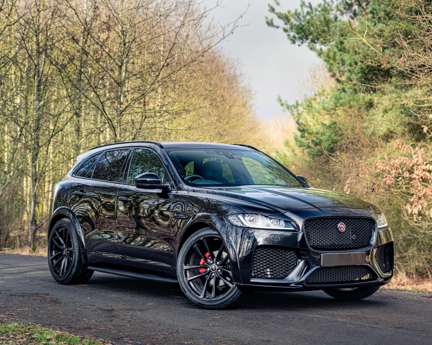 AVR F-Pace AVR F-Pace